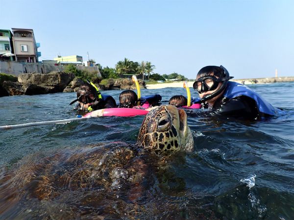 浮潛水上活動